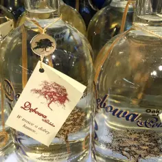 Ile kosztuje wódka dębowa? Sprawdź ceny różnych wariantów