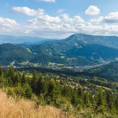 Odkryj Park Krajobrazowy Beskidu Śląskiego: Szlaki, Atrakcje, Porady