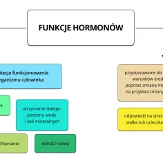 Schemat przedstawia funkcje hormonów, które regulują m.in. rozmnażanie, trawienie, wzrost, utrzymanie stałego poziomu wody i soli mineralnych, a także adaptację do środowiska i reakcję na stres. Gruczoły dokrewne produkują te hormony.