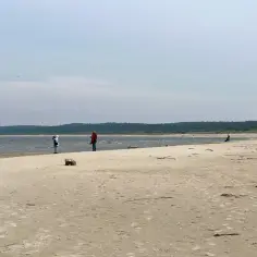Spacer po plaży na Żuławach Wiślanych. W oddali las, woda i kilka osób podziwiających krajobraz. To jedne z wielu atrakcji tego regionu.