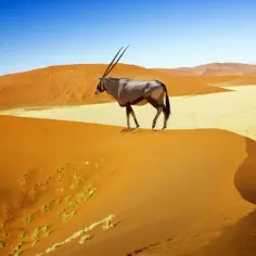 Namibia czy jest bezpiecznie? Poznaj zagrożenia i środki ostrożności