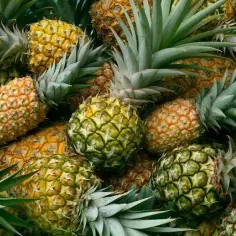 Czy ananas uczula dzieci? Objawy alergii i bezpieczne wprowadzenie