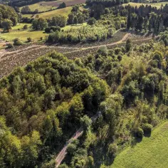 Krajobraz z lasem i polami uprawnymi. Czy można przekształcić działkę leśną w budowlaną? Tu widać, jak natura przeplata się z ludzką działalnością.