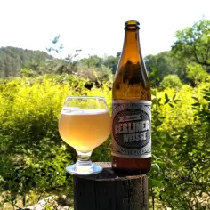 Szklanka i butelka Berliner Weisse na tle natury. Ten styl piwa, w przeciwieństwie do lambika, charakteryzuje się wyraźną kwasowością.