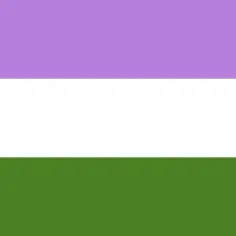 Flaga z trzema poziomymi pasami: fioletowym, białym i zielonym. Symbolizuje tożsamość genderqueer, wyrażając różnorodność i wolność od binarnych podziałów płci.
