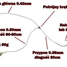 Jaką wędkę na suma z gruntu wybrać, by nie stracić ryby?