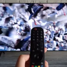 Pilot do telewizora w ręce, ekran pokazuje stado ptaków. Dowiedz się, jak ustawić telewizję naziemną bez dekodera.
