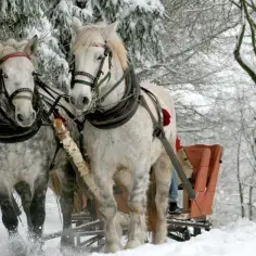 5 zimowych atrakcji Karpacza, które rozgrzeją Cię w chłodne dni