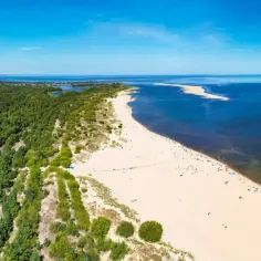 Szeroka, piaszczysta plaża z zielonym lasem sosnowym i spokojnym, błękitnym morzem.