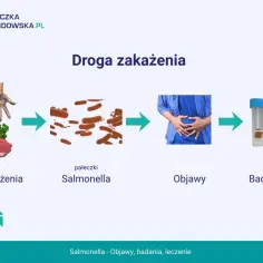 Droga zakażenia salmonellą: od surowego mięsa, przez pałeczki, objawy u kobiety w ciąży, po badanie kału.