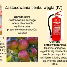 Zastosowania tlenku węgla (IV): mrożenie żywności, przedłużanie świeżości owoców i warzyw, krioterapia, gaśnice śniegowe.
