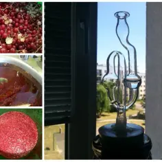 Czerwone porzeczki, mycie owoców w zlewie i rurka fermentacyjna przy oknie.