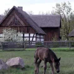 Więcbork atrakcje: odkryj ukryte skarby i nieznane miejsca