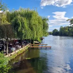 Letnia kawiarnia nad rzeką w Berlinie, pod płaczącymi wierzbami. Nietypowe atrakcje stolicy Niemiec to m.in. relaks w takim miejscu.