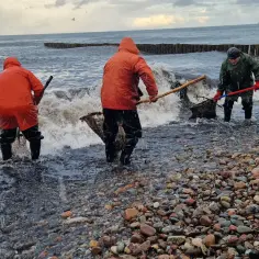 Trzech mężczyzn w deszczowych ubraniach zbiera coś z morza za pomocą sieci. Czy można zbierać bursztyny? Fale rozbijają się o kamienistą plażę.