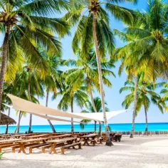 Rajska plaża z palmami i ławkami. Zastanawiasz się, ile leci samolot na Dominikanę?
