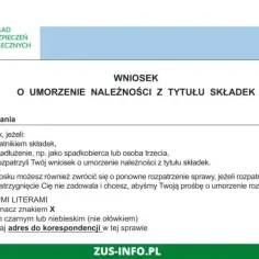 Jak napisać skuteczny wniosek o umorzenie odsetek: Wzór i porady