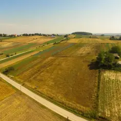 Widok z lotu ptaka na patchwork pól uprawnych, domy i szklarnie. Kto płaci podatek od dzierżawy gruntu? Rolnicy, którzy uprawiają te ziemie.