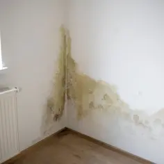 Jak pozbyć się wilgoci z mieszkania - skuteczne metody i porady