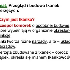 Jakie są tkanki zwierzęce? To zespół komórek o podobnej budowie, tworzący narządy i układy narządów.