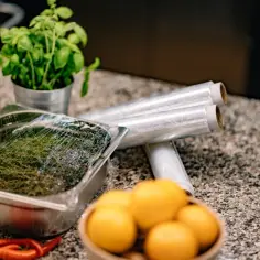 Jak przechowywać bazylię, aby nie straciła świeżości i aromatu