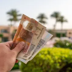 Dłoń trzyma banknoty funta egipskiego. Ile dolarów do Egiptu? Wakacje w kurorcie z palmami.