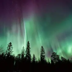 Niesamowite zorze polarne tańczą na nocnym niebie nad ciemnym lasem. Zielone i fioletowe smugi światła tworzą magiczny spektakl.