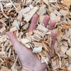 Dłoń trzymająca zrębki drewna, które stanowią przykład biomasy. To odnawialne paliwo, które można wykorzystać do produkcji energii.