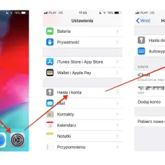 Ekran iPhone'a z ustawieniami. Widać ikonę "Hasła i konta" oraz włączoną opcję "Autouzupełnianie haseł".