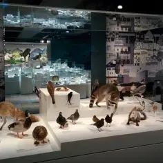 Muzeum Sztuki w Bazylei – odkryj fascynujące kolekcje i historie