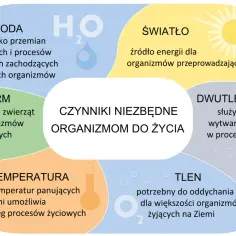 Czynniki niezbędne organizmom do życia: woda, pokarm, temperatura, światło, dwutlenek węgla i tlen. Obecnie wyróżniamy następujące królestwa organizmów.