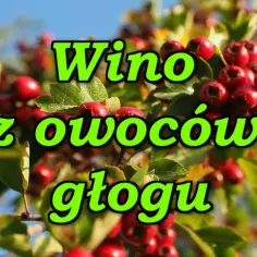 Jak zrobić wino z głogu - prosty przepis na domowe wino