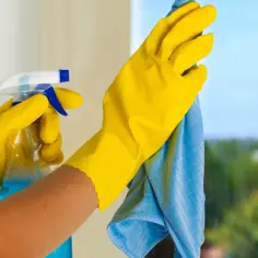 Myjka do okien Vileda czy Karcher - która lepsza dla Ciebie?
