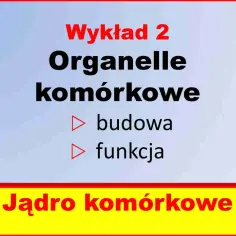 Wykład 2: Organelle komórkowe - budowa i funkcja. Jądro komórkowe. Biologia budowa komórki.