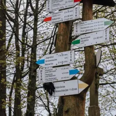 Zdobądź szczyt Jagodnej! Oto najlepsze szlaki dla początkujących