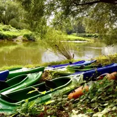 Ile kosztuje spływ kajakiem? Sprawdź ceny i ukryte koszty wypraw