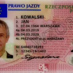 Czy po zdaniu prawa jazdy można jeździć samemu? Sprawdź, co grozi za błędy!