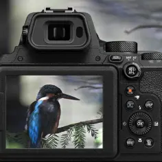 Nikon Coolpix P950 - Zawrotny zoom w kompaktowym wydaniu 