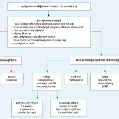 Schemat analizy podejrzeń reakcji na szczepionkę, uwzględniający wywiad, reakcje immunologiczne i niemające podłoża immunologicznego.