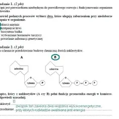 ATP w biologii: Klucz do zrozumienia energii w komórkach
