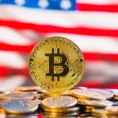 Postawili wszystko na bitcoina. najbardziej zyskowna firma w usa