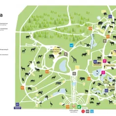 Mapa Zoo w Chorzowie z zaznaczonymi atrakcjami, zwierzętami i punktami usługowymi. Sprawdź cennik i zaplanuj wizytę!