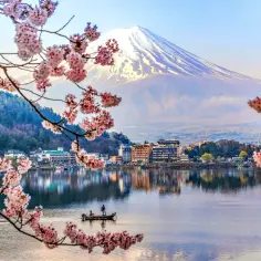 Japonia co zobaczyć: kwitnące wiśnie nad jeziorem z widokiem na górę Fudżi i łódź z rybakami.