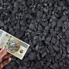 Dłoń trzyma banknot 200 zł na tle węgla.