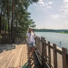 5 unikalnych miejsc Roztocza! Co warto zobaczyć w tym regionie?