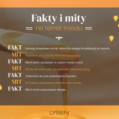 Fakty i mity o miodzie. Czy miód jest zdrowy? Dowiadujemy się, że prawdziwe miody nie krystalizują, a miód spadziowy ma najlepsze właściwości.