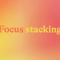 Napis "Focus stacking" na tle gradientu od pomarańczowego do różowego. Technika ta pozwala uzyskać ostrość na całym kadrze.