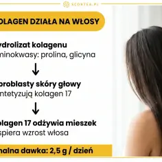 Jak kolagen działa na włosy: hydrolizat kolagenu odżywia mieszek, wspierając wzrost. Minimalna dawka 2,5 g/dzień.