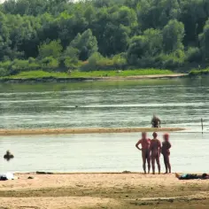 Plaża błota w Warszawie - kompletne informacje o plaży naturystów w Falenicy