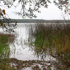 Jezioro Lucieńskie - odkryj jego piękno i atrakcje w okolicy